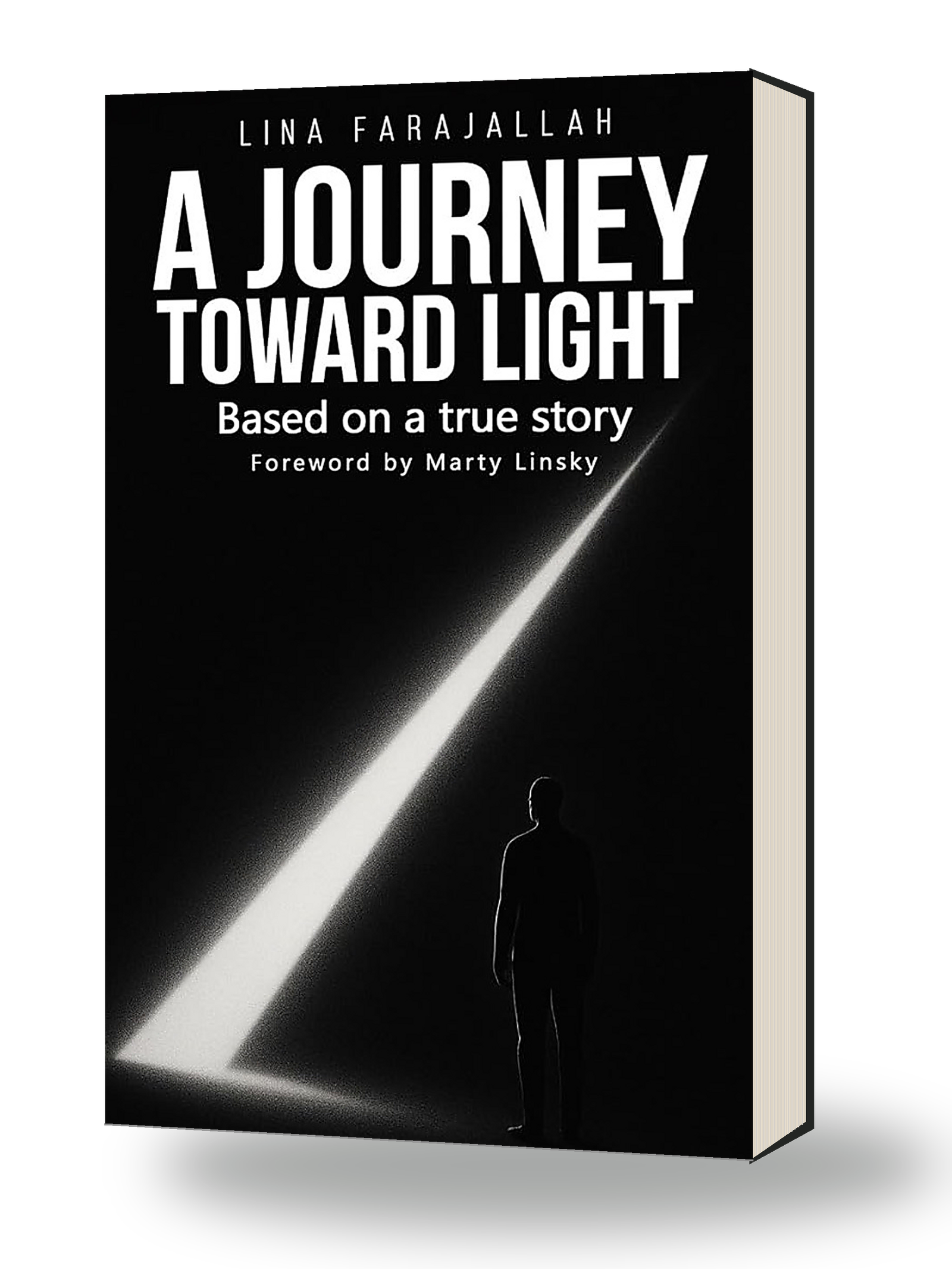 A Journey Toward Light book cover